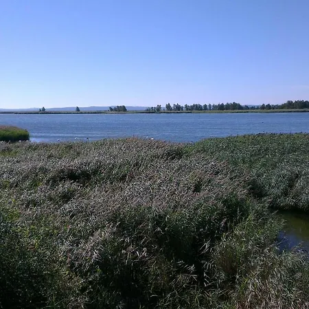 Semesterbostad Toddy Glowe