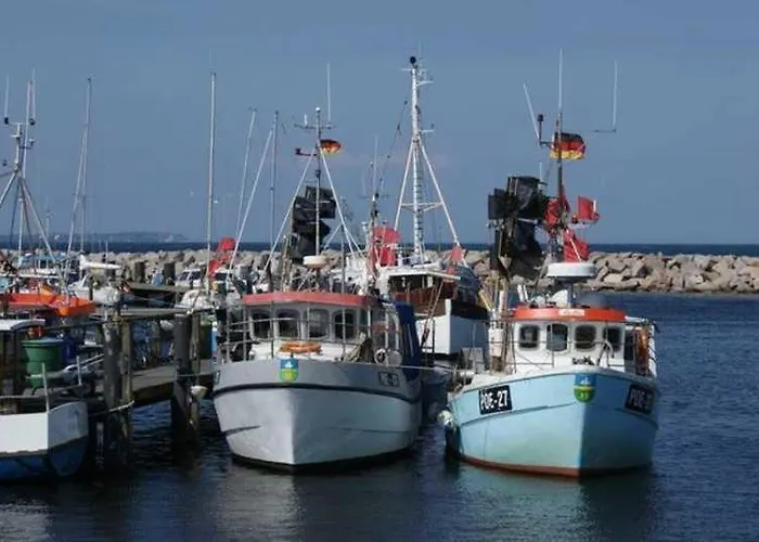 بيت للعطل Toddy غلوفي